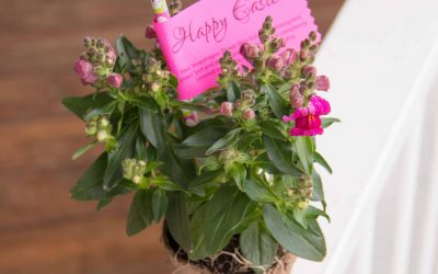 Easy Gift Idea for Under $2! Potted Plant