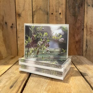Ripening Berries Note Cards