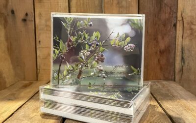 Notables: New Release!